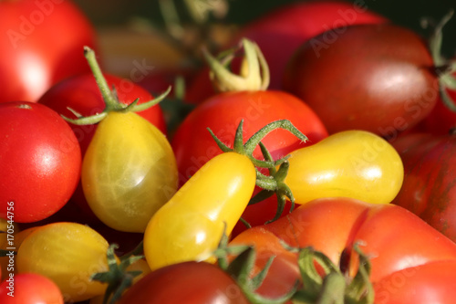 Tomatenvielfalt