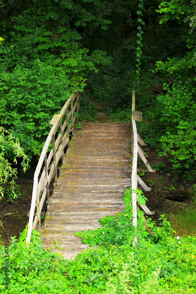 Fototapeta premium Small wooden bridge