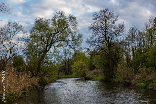 Landscape with Jeziorka river in Zalesie Dolne  Poland