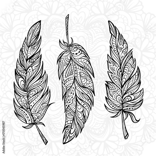 Vector hand drown zendoodle feathers set.