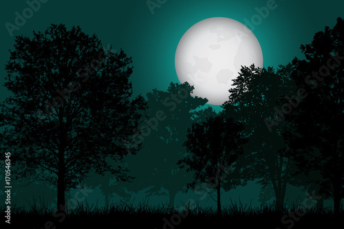 Vector realistic illustration of a deciduous forest with grass under a night sky