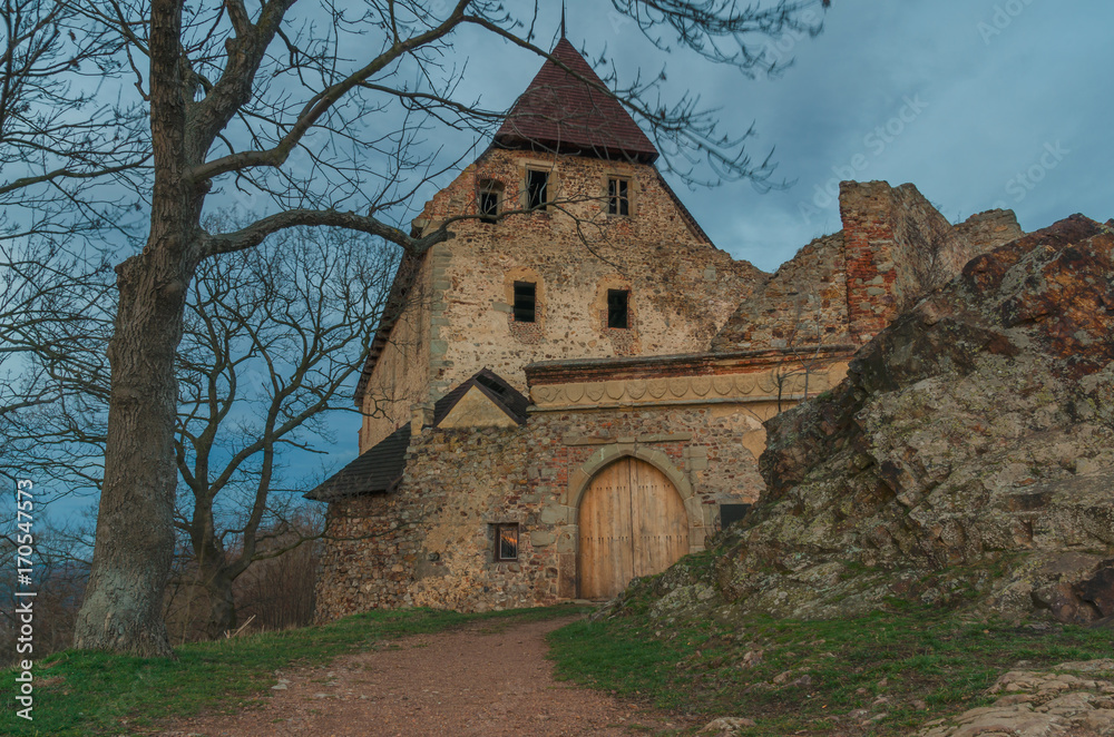 Zebrak castle in spring, Czech Republic