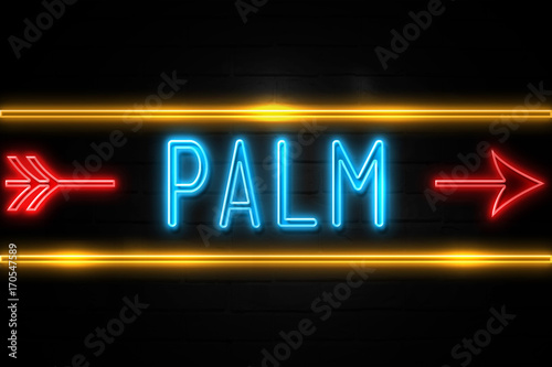 Palm - fluorescent Neon Sign on brickwall Front view