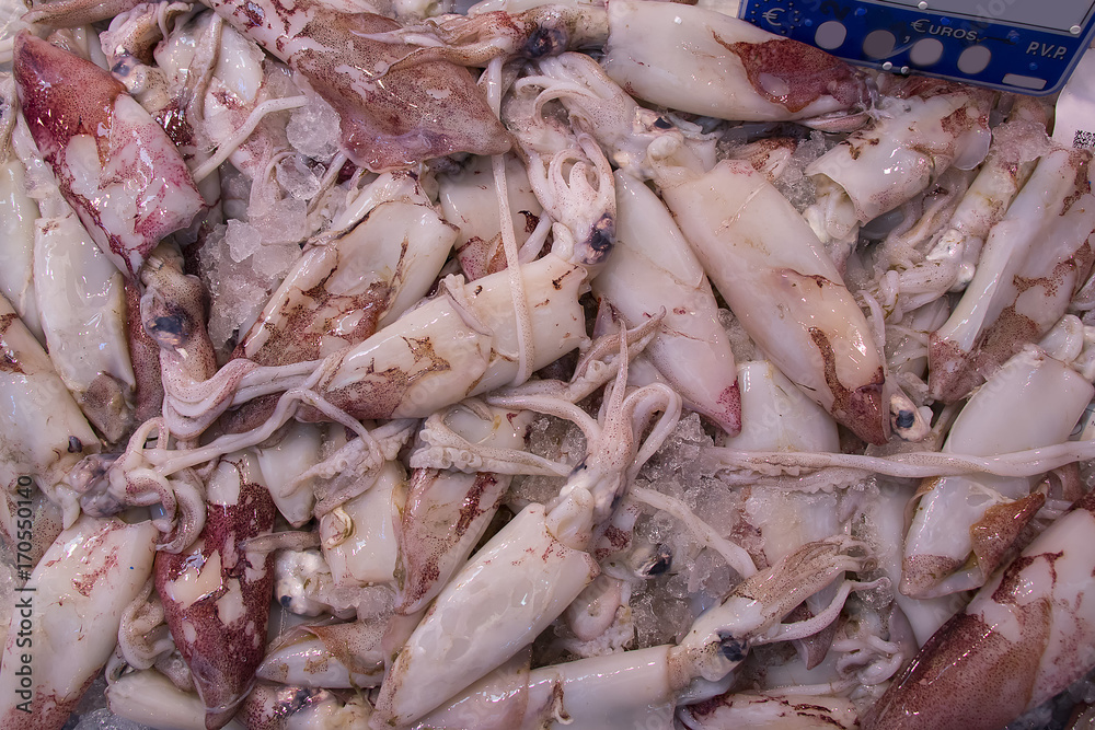 Fresh spider crab ready to be cooked in Isla Cristina market, seafood, (centolla de Huelva)