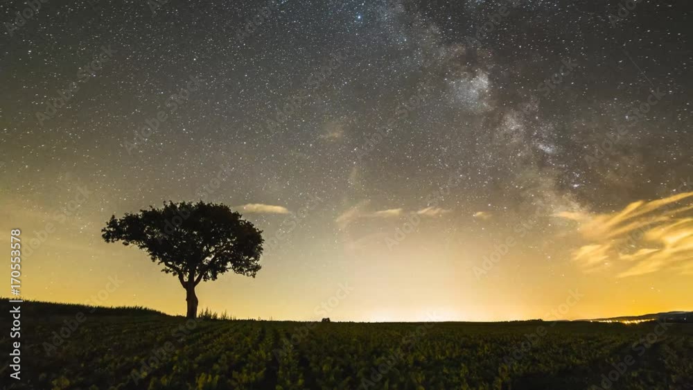 Timelapse d'un arbre solitaire et de la Voie lactée. Timelapse d'un arbre solitaire et de la Voie lactée.