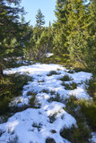  Bozi Dar peat bog trail at the turn of winter and spring, Ore mountains (Czech Republic)