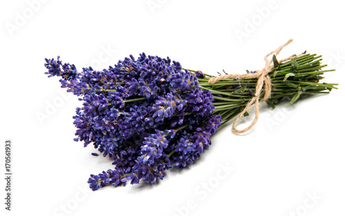 Fototapeta Naklejka Na Ścianę i Meble -  Purple bouquet Lavender flowers