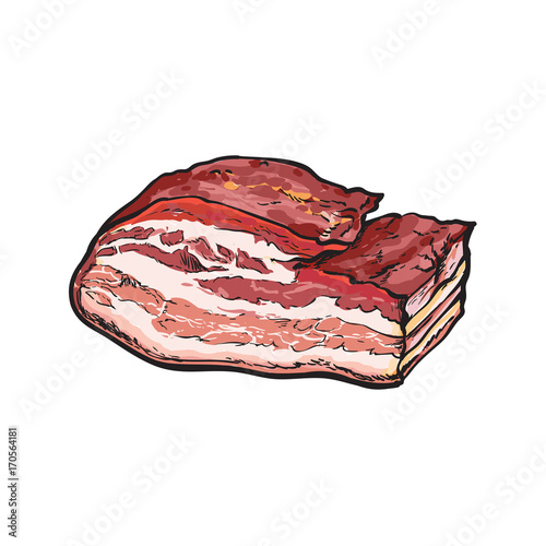 vector sketch lard meat. Isolated illustration on a white background. Sausage and meat types concept
