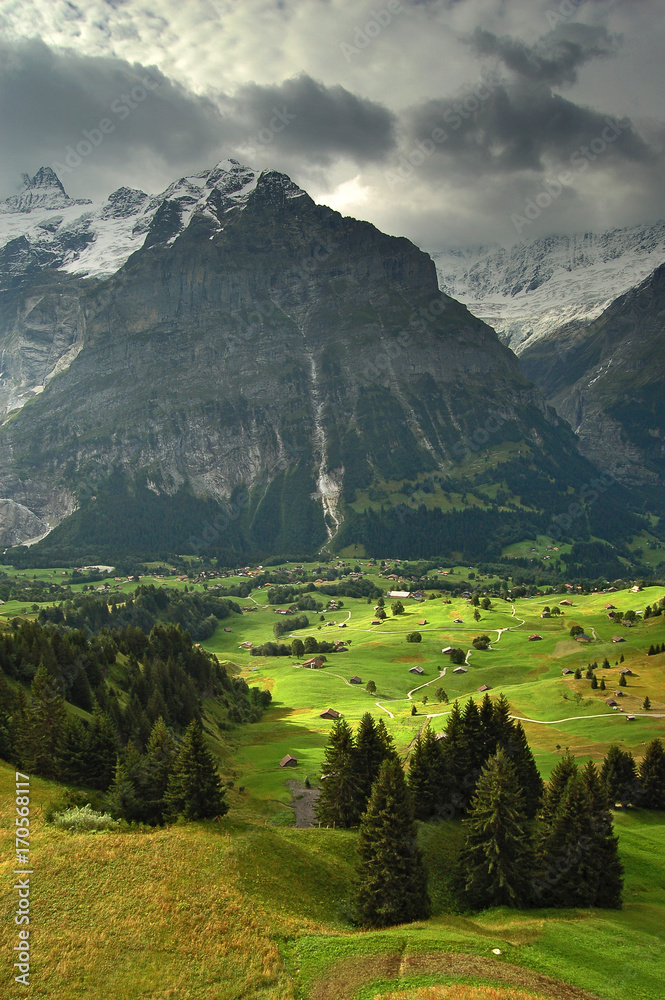 Obraz premium Grindelwald Alps