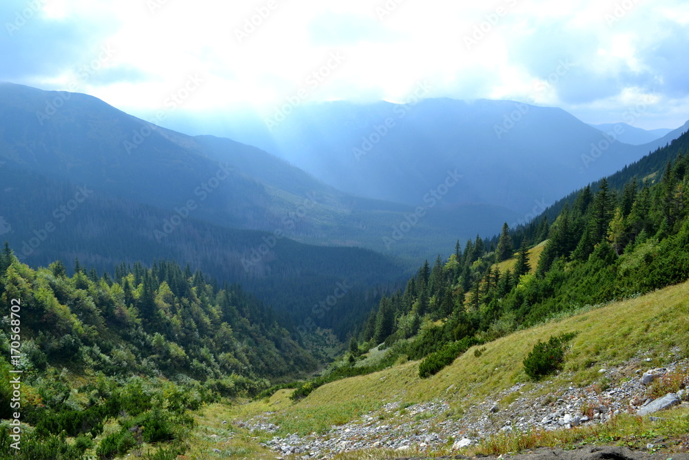 dolina w tatrach