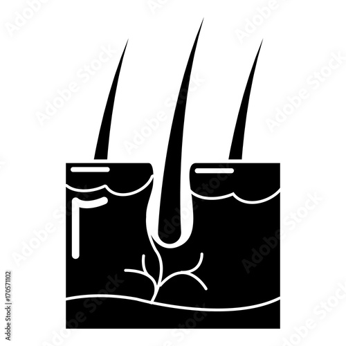 Hair skin icon , simple style