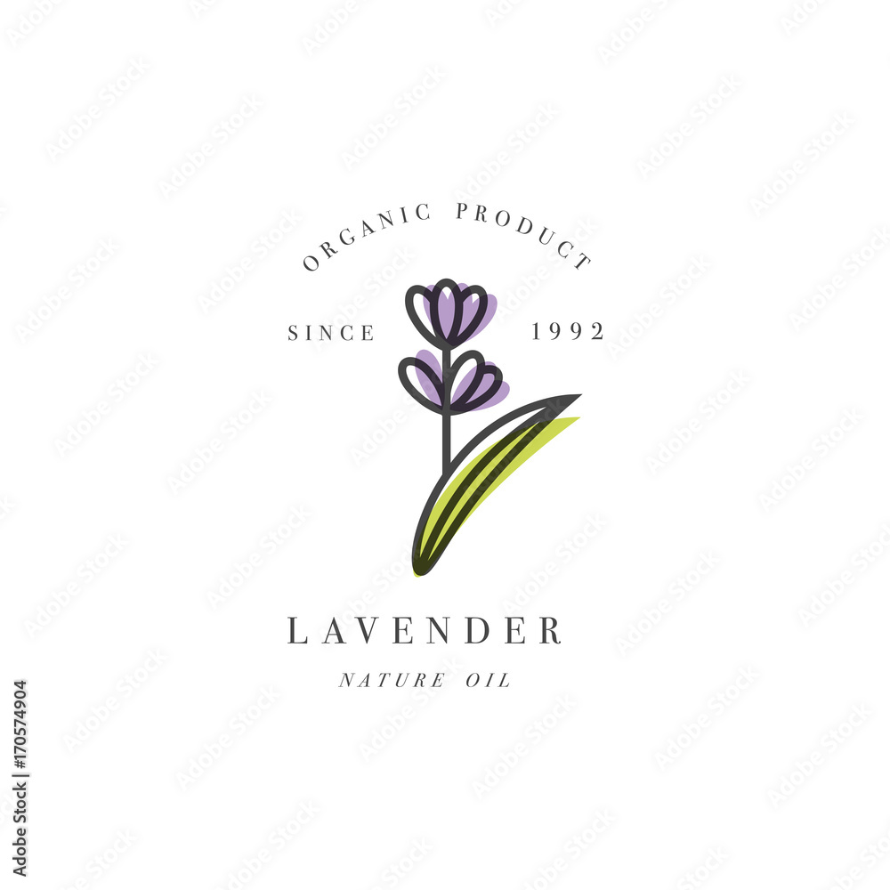 Vector set of packaging design template and emblem - beauty and cosmetic oil - lavender