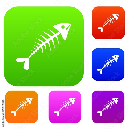 Fish bone set collection
