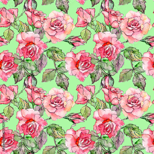 Wildflower rose flower pattern in a watercolor style. Full name of the plant: rose pink. Aquarelle wild flower for background, texture, wrapper pattern, frame or border.