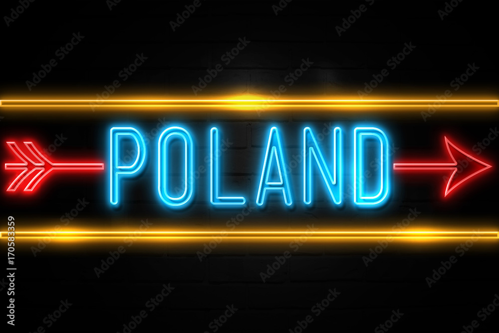 Poland  - fluorescent Neon Sign on brickwall Front view