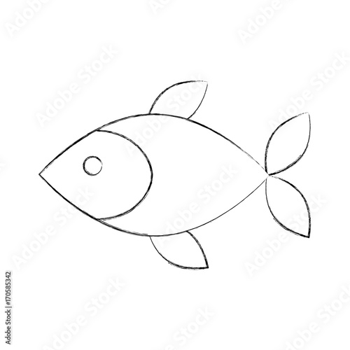 fish shop store market with freshness seafood meal vector illustration