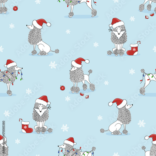 Christmas pattern with cute poodle dogs on blue. Vector holiday background
