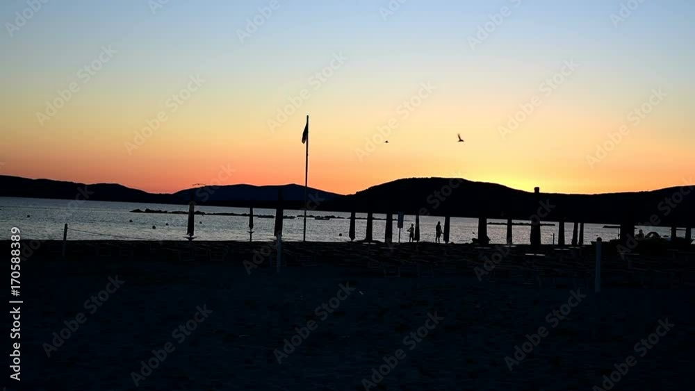 Seagulls at the beach at sunset. Sardinia, Italy Seagulls at the beach at sunset. Sardinia, Italy