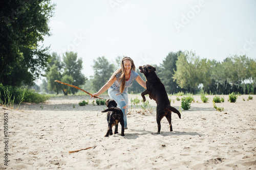 beautiful girl is playing with brown labradors