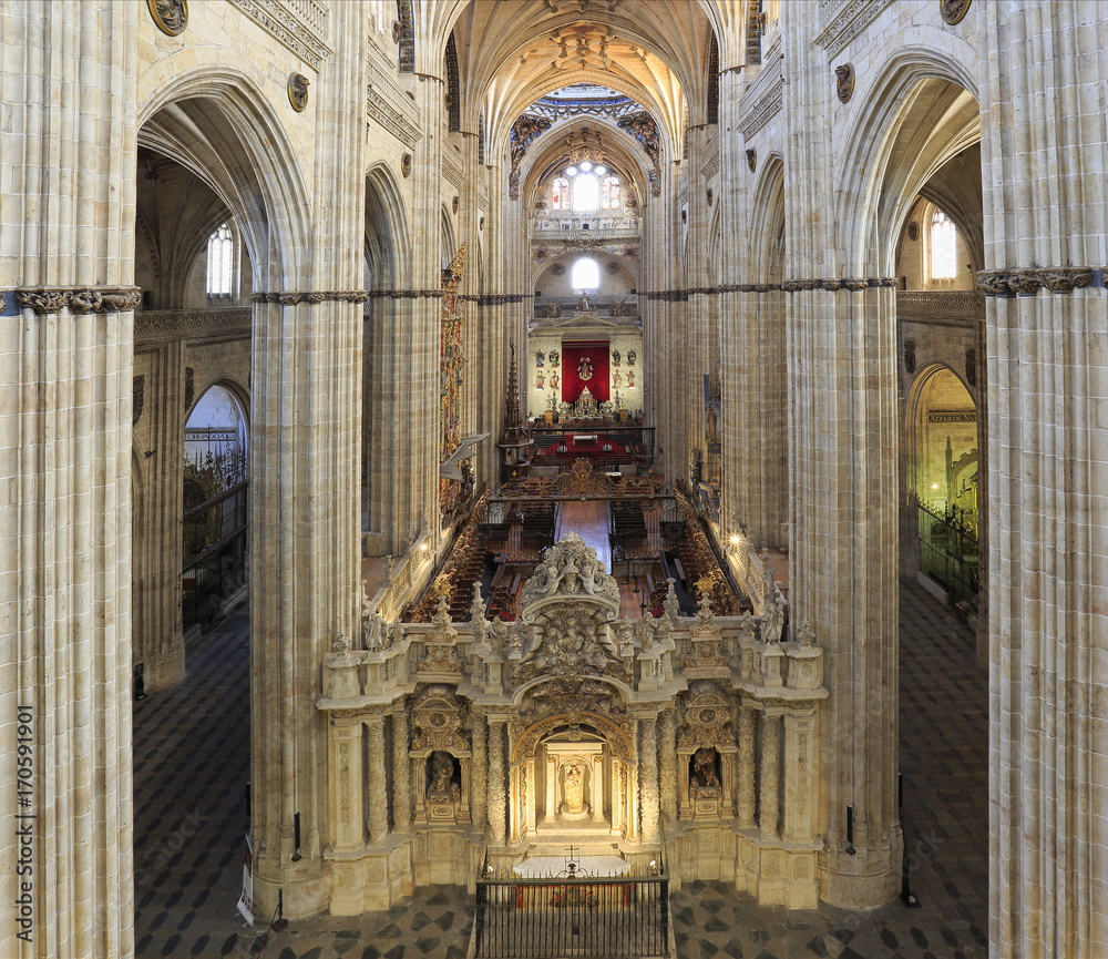 New Cathedral of salamanca interior, Spain