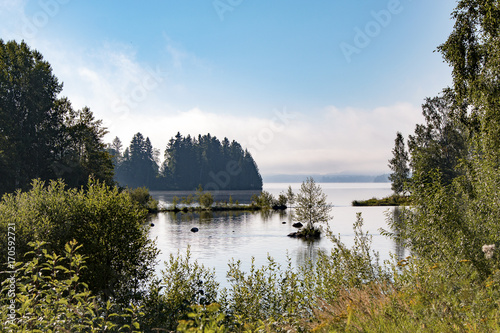 Lake view photo