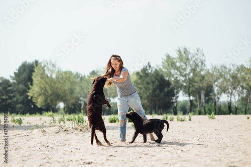 beautiful girl is playing with brown labradors