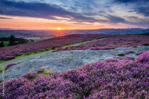 Sunset over Cheviot Hills and Rothbury Heather, on the terraces which walk offers views over the Coquet Valley to the Simonside and Cheviot Hills, heather covers the hillside in summer photo