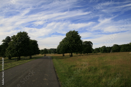 A late afternoon walk in Peak District, Chatsworth, UK