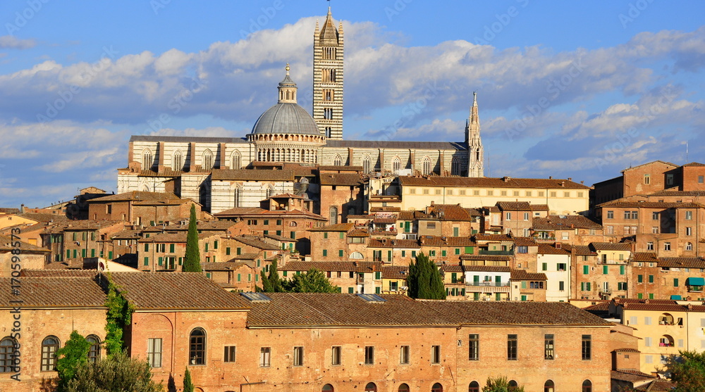 Blick auf die Altstadt von Siena mit dem Dom im warmen Licht des Spätnachmittags