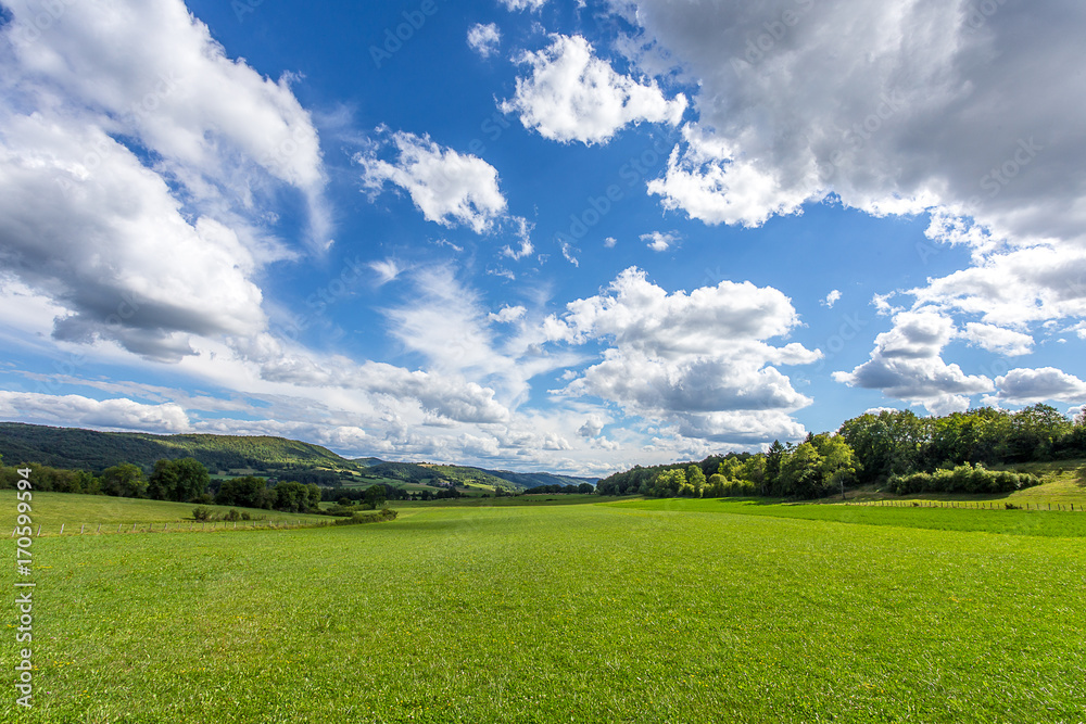 Une étendue d'herbe verte sous un ciel bleu et nuageux Photos