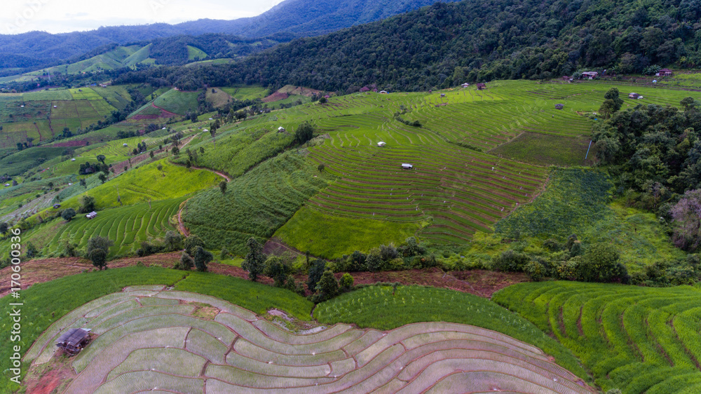 Aerial view of Rice fields on terraced of Mae Cham,Chiang Mai, Thailand. Thailand landscapes.