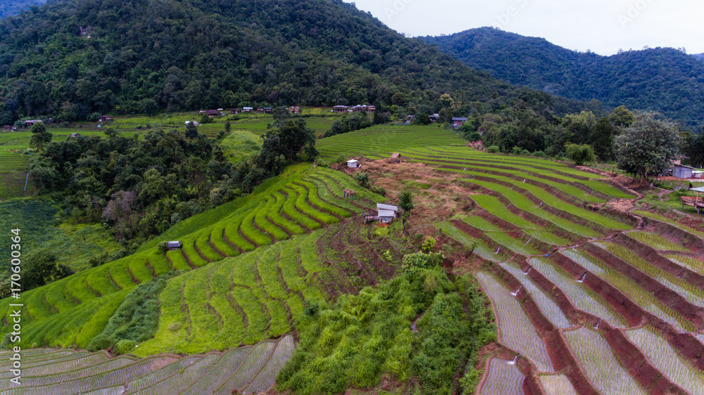 Aerial view of Rice fields on terraced of Mae Cham,Chiang Mai, Thailand. Thailand landscapes.