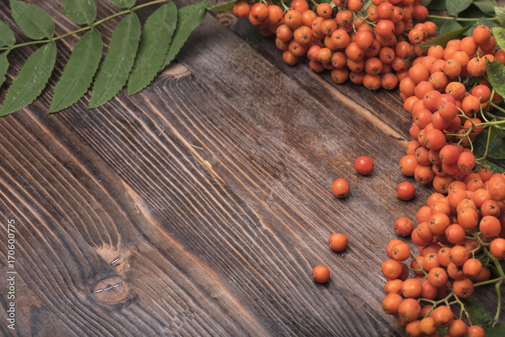 Frame of rowan berries on a wooden background Frame of rowan berries on a wooden background