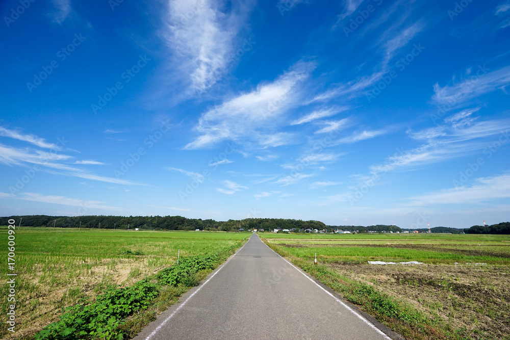 田園風景