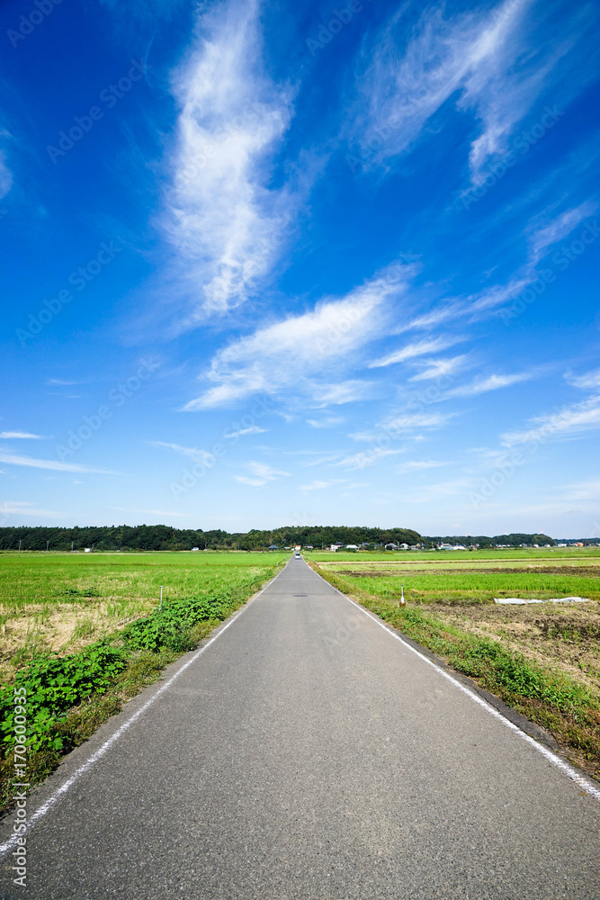 田園風景 田園風景