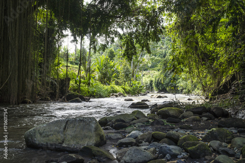 Fototapeta Naklejka Na Ścianę i Meble -  Stones at the river with jungle in Ubud, Bali, Indonesia