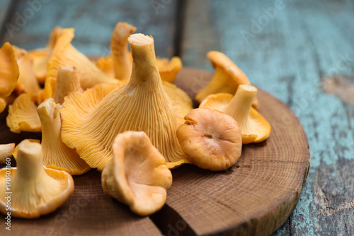 Fresh whole chanterelle forest mushrooms on wooden plate on old turqoiuse boards photo