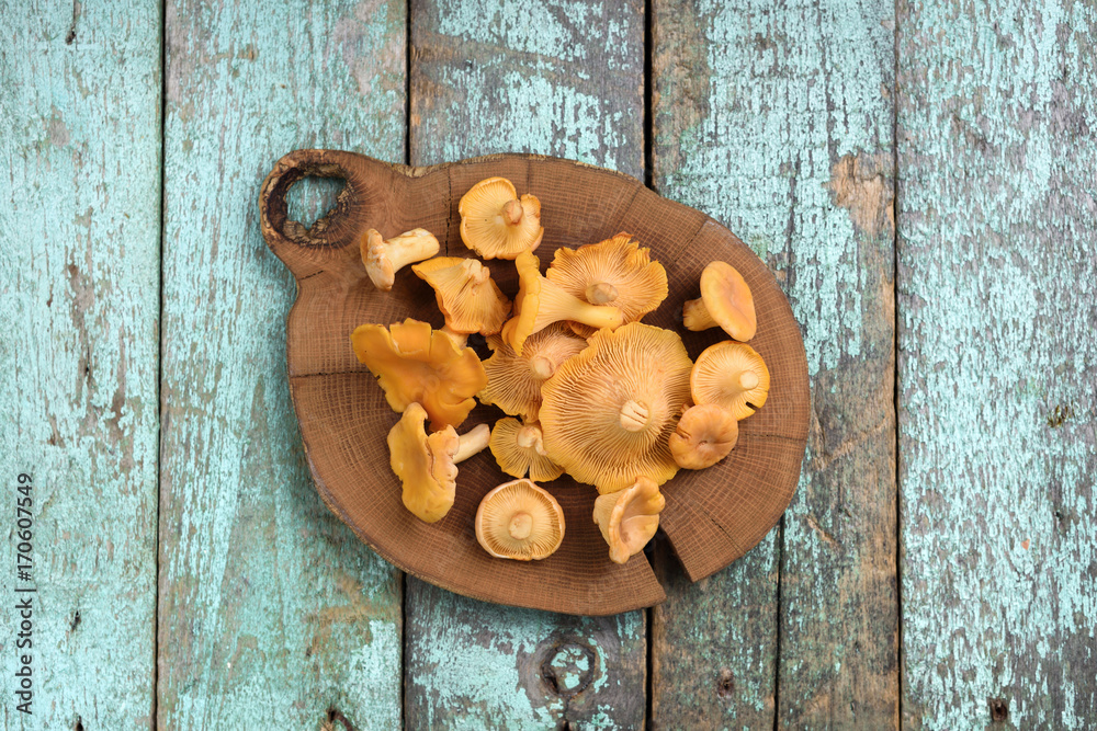 Fresh whole chanterelle mushrooms on wooden plate on old turqoiuse boards copyspace Fresh whole chanterelle mushrooms on wooden plate on old turqoiuse boards copyspace