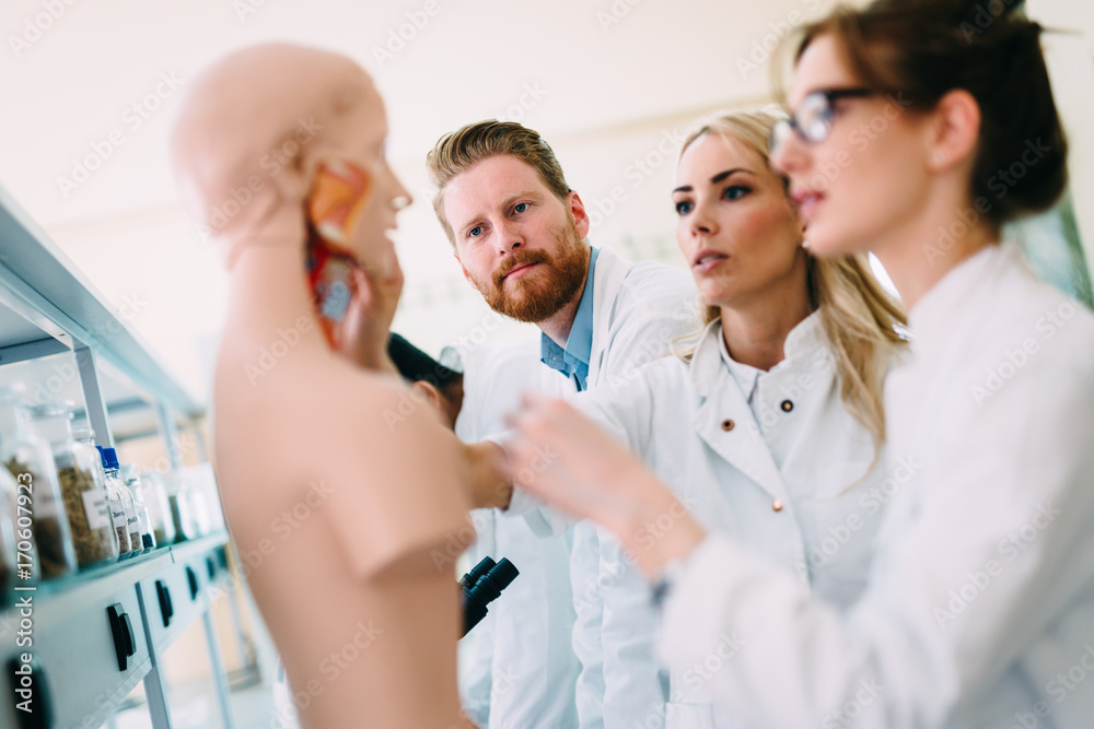 Fototapeta premium Students of medicine examining anatomical model in classroom