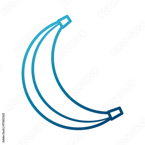 Delicious banana fruit icon vector illustration graphic design photo