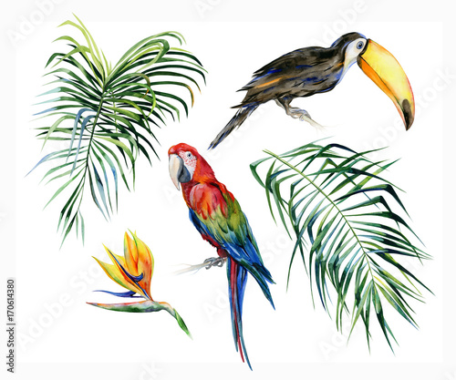 Watercolor illustration of tropical leaves, dense jungle. Toucan bird and sca...