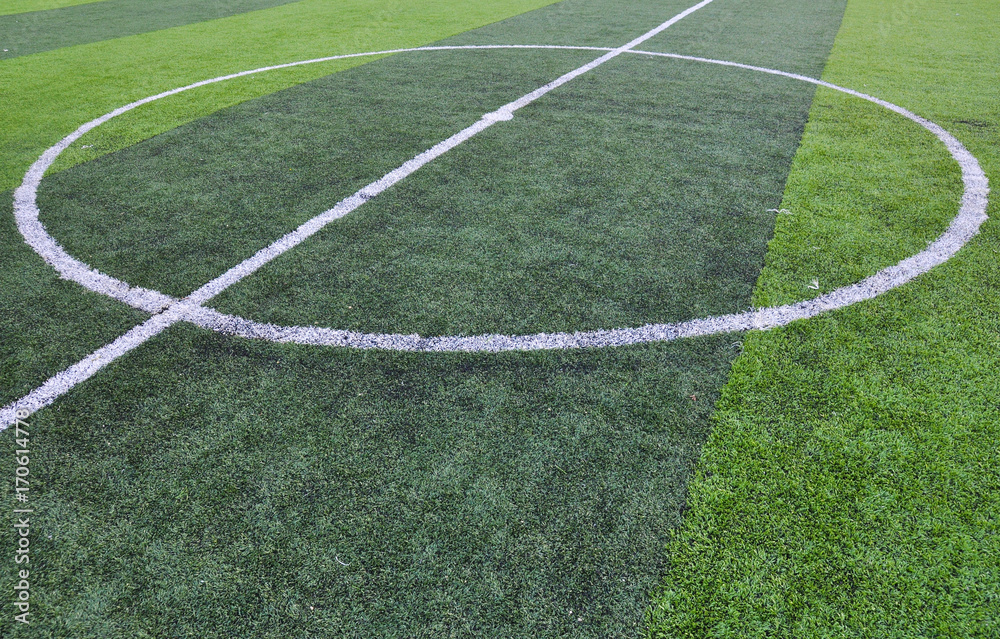 Fototapeta premium green glass ,soccer field