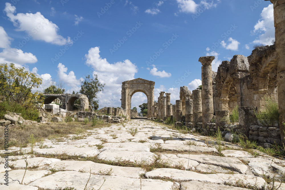 Pillars along byzantine road with triumph arch in Al-Bass ruins of Tyre, Lebanon
