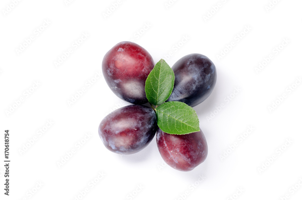 Obraz premium plums on white background