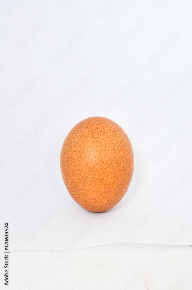 chicken egg on white chicken egg on white