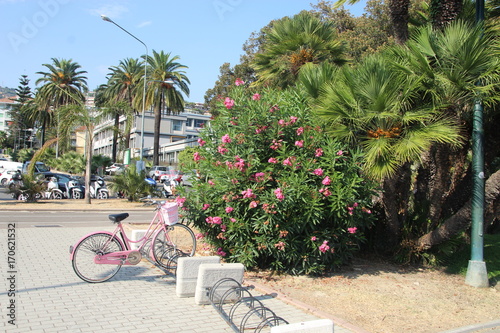 Fototapeta Naklejka Na Ścianę i Meble -  pink bicycle and flowers
