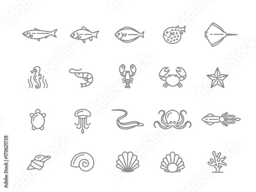 Set of vector fish and sea food line icons. Shrimp, oyster, squid, crab, ell, fugu, lobster, carp, sturgeon, jellyfish, octopus, turtle, starfish, coral, sell, seahorse and more. Editable Stroke. photo