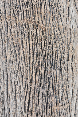 old wooden board,old wood plank,Old wood background,wood texture background