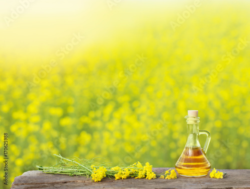 rapeseed oil (canola) in rape field