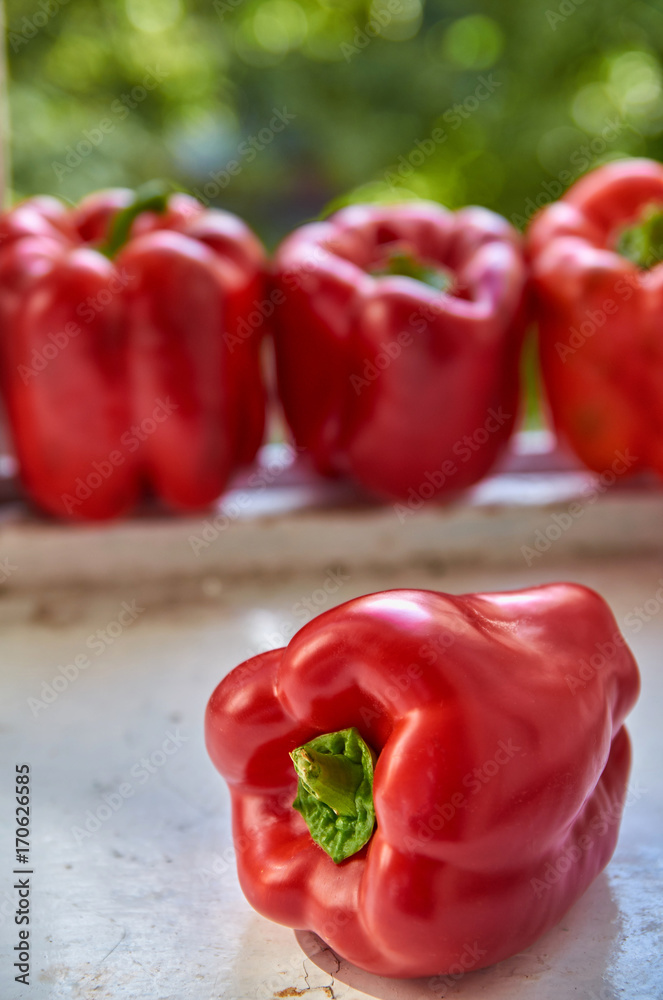 Red bell pepper close up on wooden white table on blurred colorful green background with copy space. Bell peppers on blurred green texture close up. Horizontal photo. Side view Red bell pepper close up on wooden white table on blurred colorful green background with copy space. Bell peppers on blurred green texture close up. Horizontal photo. Side view